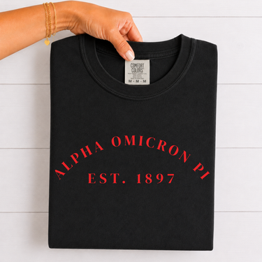 Alpha Omicron Pi Cardinal Established T-Shirt