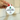 The Year I Joined Alpha Chi Omega 2026 Ornament | Alpha Chi New Member Christmas Gift