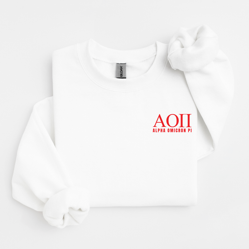 Alpha Omicron Pi Cardinal Letters Sweater