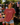 The Summer USA Turned 250 T-Shirt