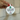 The Year I Joined Delta Zeta 2026 Ornament | DZ New Member Christmas Gift